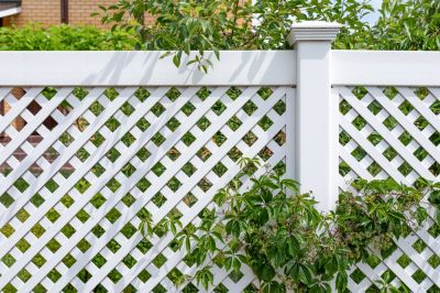 Vinyl Fences Come in Various Different Styles!