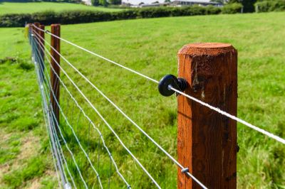 Barbed Wire Fences Are Durable and Affordable!