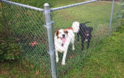 Chain Link Fences Offer Security and Safety!